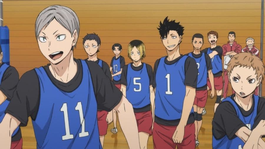 OVA 排球少年!!列夫前來拜見!