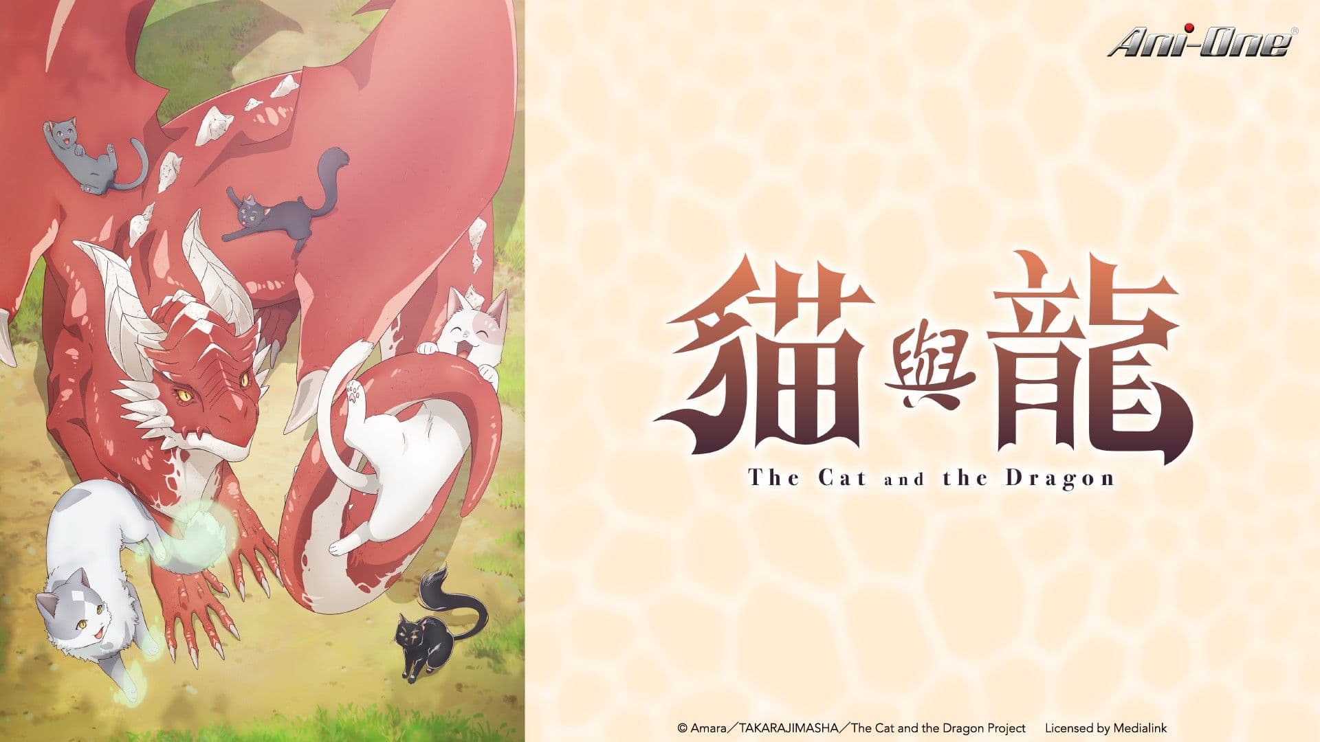 貓與龍