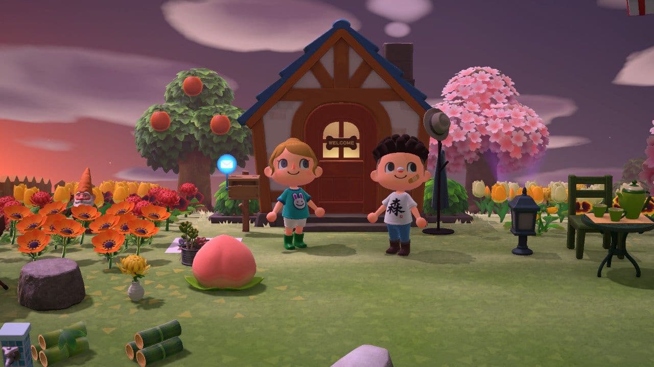 電玩雜談|任天堂五大招牌遊戲,瑪利歐、薩爾達、動森、斯普拉遁、皮克敏