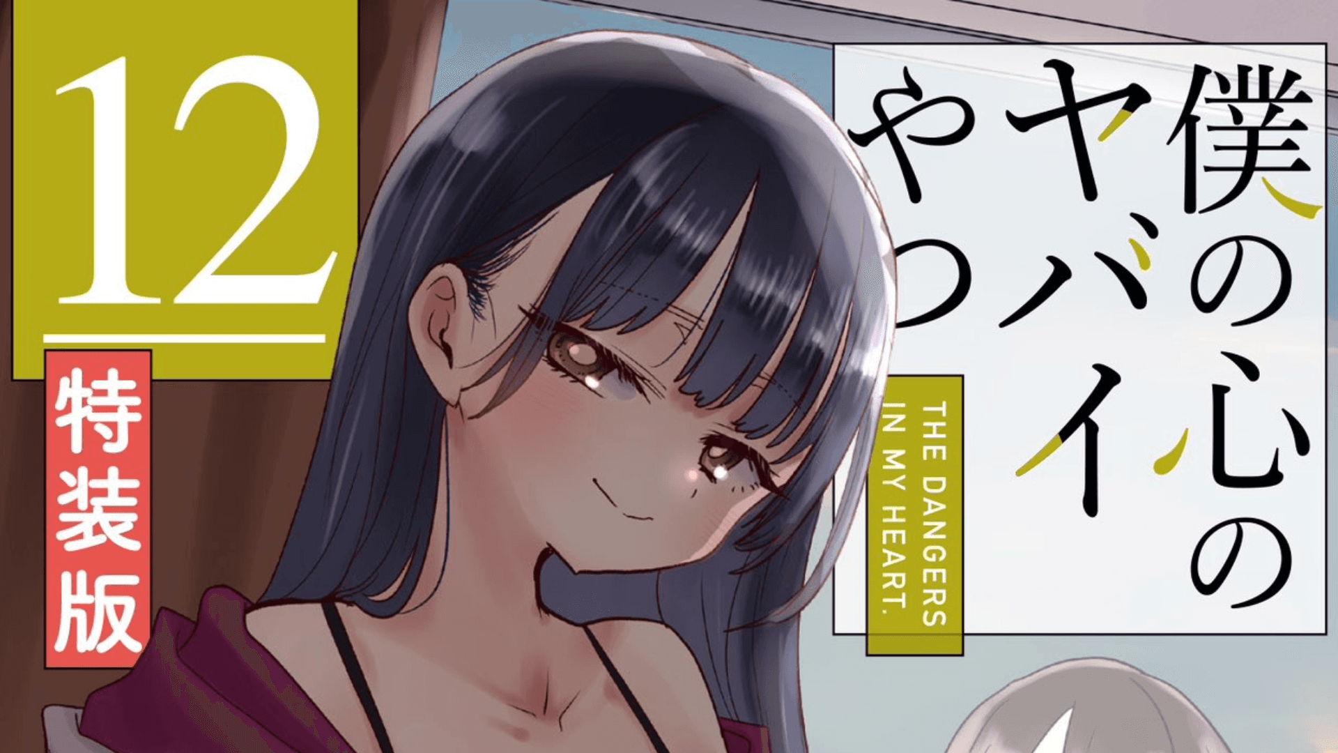 《我內心的糟糕念頭》第 12 卷封面