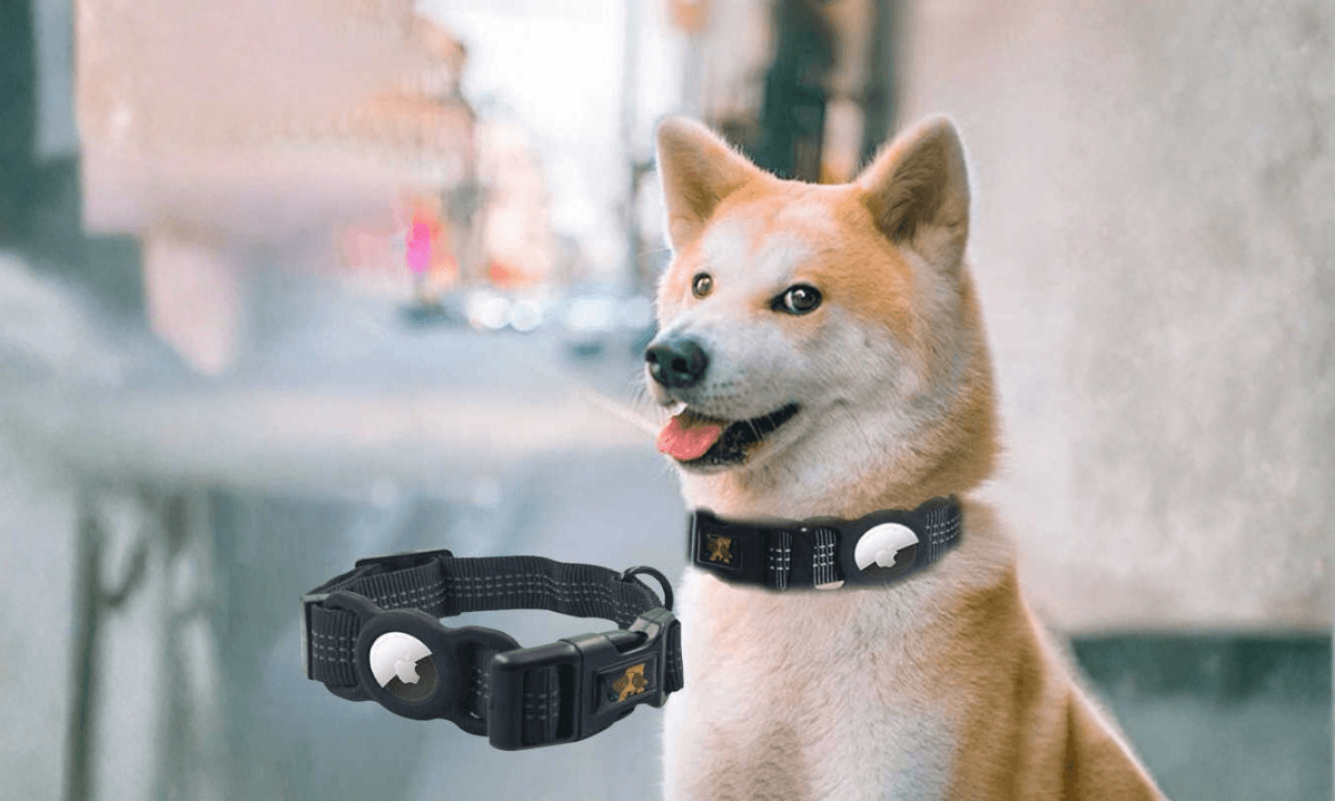 AirTag 寵物項圈:AirTag 防丟定位器寵物項圈