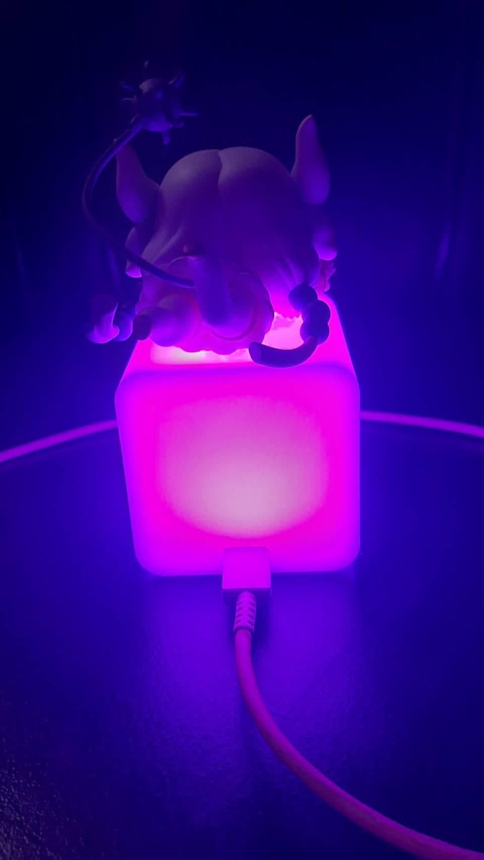 APEX 小林家的龍女僕 神奈 康娜 Q版 角色小夜燈