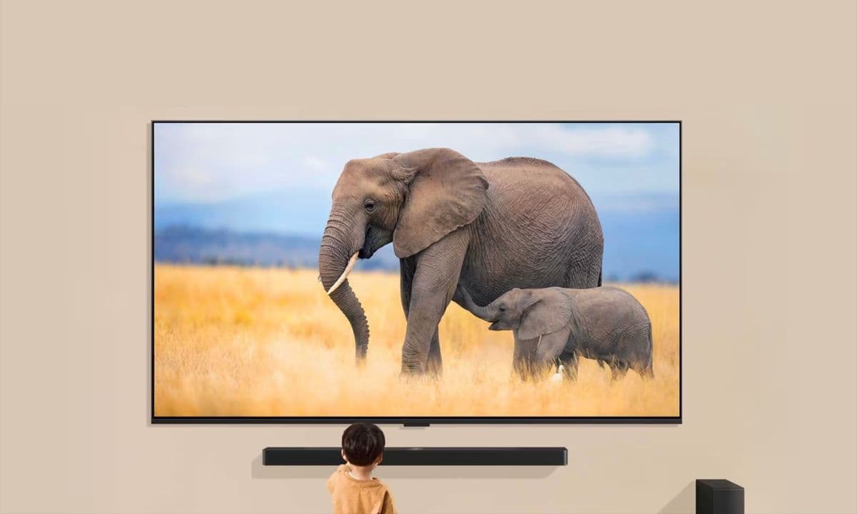小朋友在大尺寸 LG 電視前觀看大象