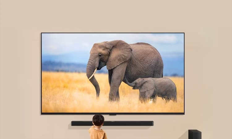 小朋友在大尺寸 LG 電視前觀看大象