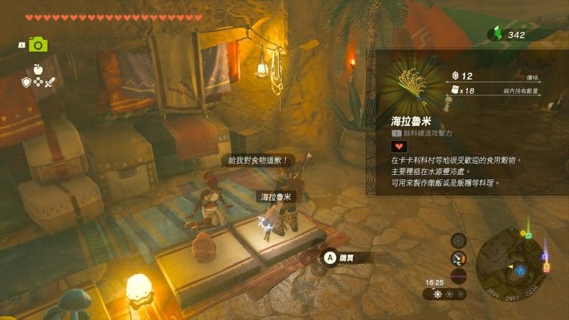 《薩爾達傳說 王國之淚》遊戲畫面